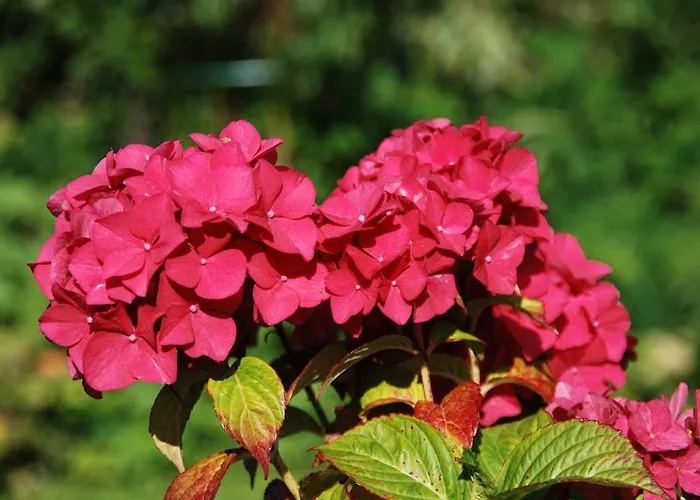 Castle View Freshford