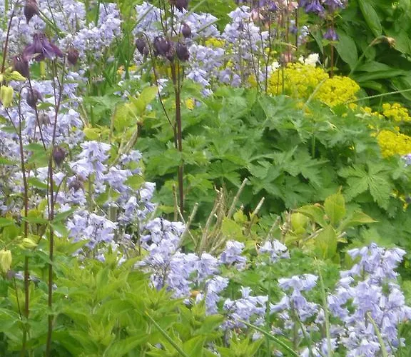 Castle View Freshford