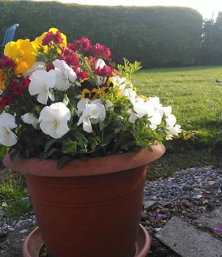 Bed & Breakfast Castle View Freshford